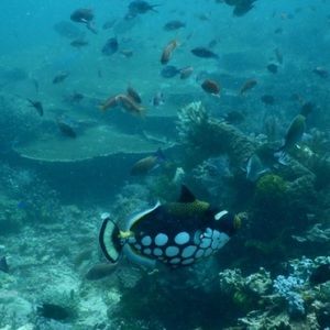 Meet your Posher, Eric